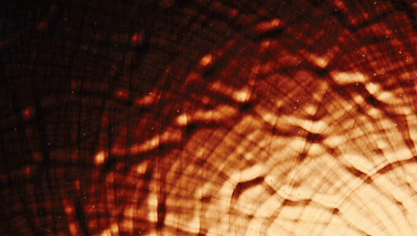 Graded still from Cordillera: warm amber caustic light through rippled glass, deep shadow on the left.