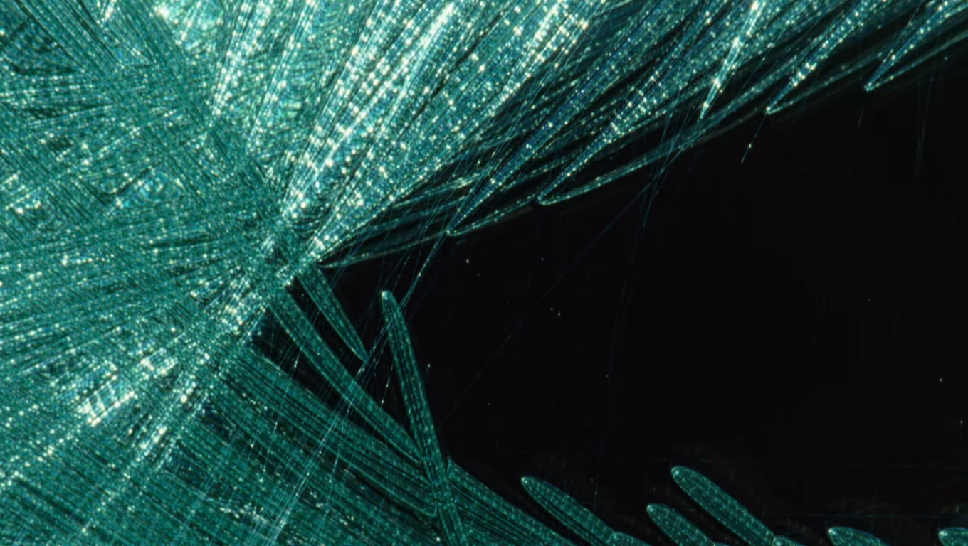 Graded still from Mareas: green-teal caustic threads of light against a black field.